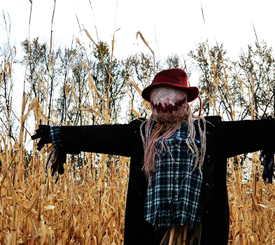 scarecrow