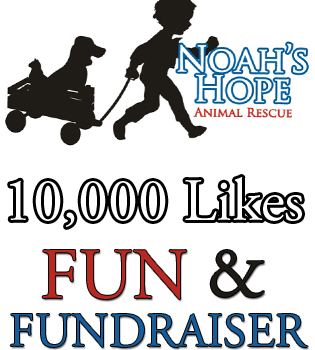 noah's hope 10,000 like fundraiser