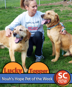 Pets of the Week - Lucky & Topper