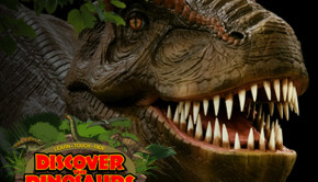discover the dinosaurs
